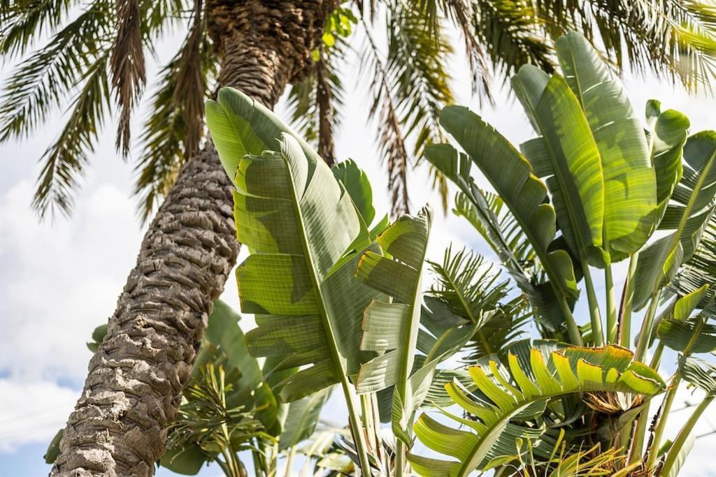 Bay Breeze Aparthotel South Bradenton Ngoại thất bức ảnh